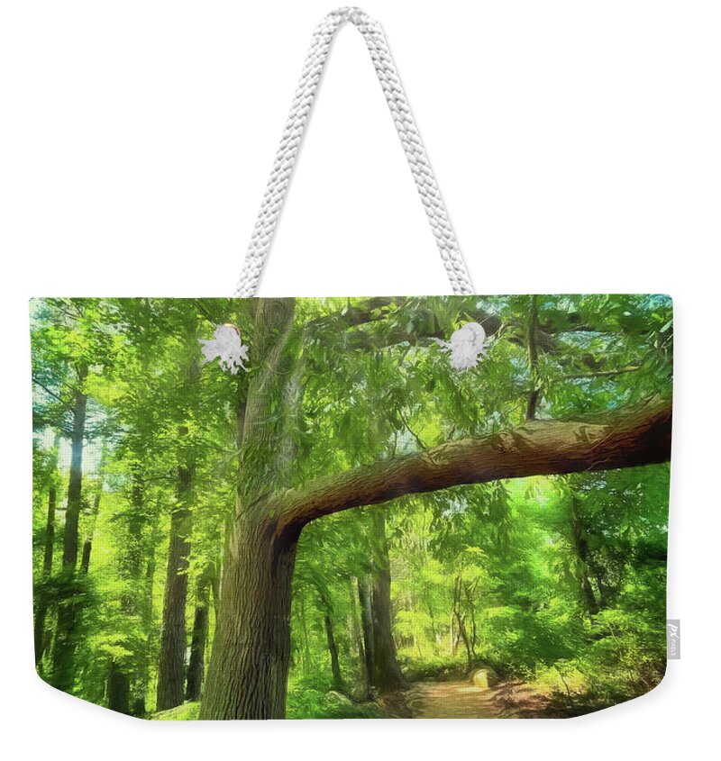 Narrow Path Weekender Tote Bag featuring the photograph Take the Narrow Path by Michael Frank