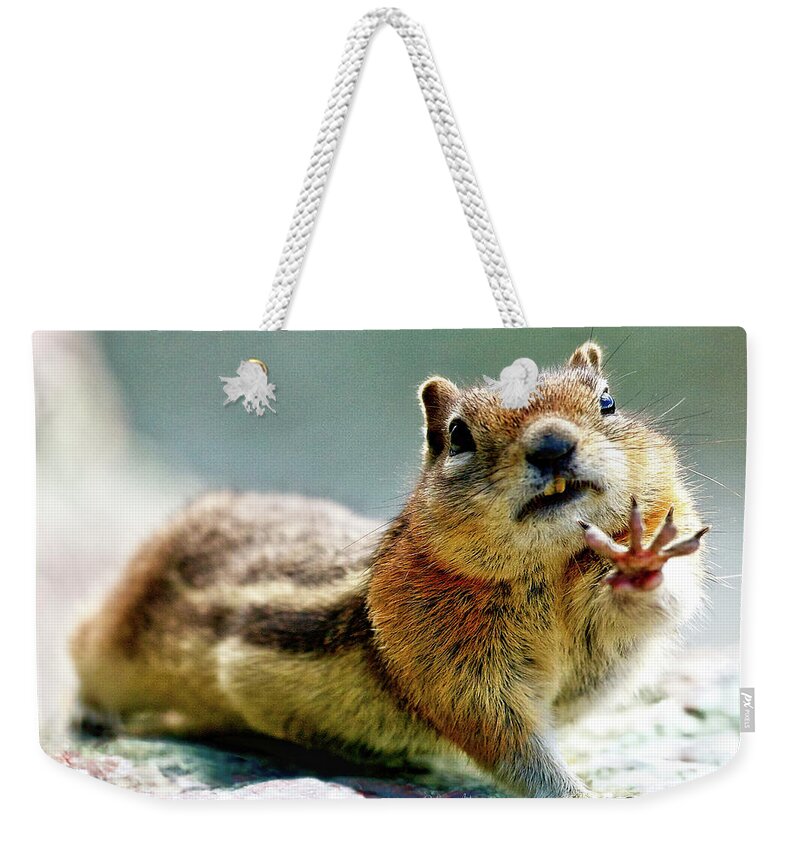 Chipmunk Weekender Tote Bag featuring the photograph Talk to the Hand Greetings from the Wild by OLena Art by Lena Owens - Vibrant DESIGN
