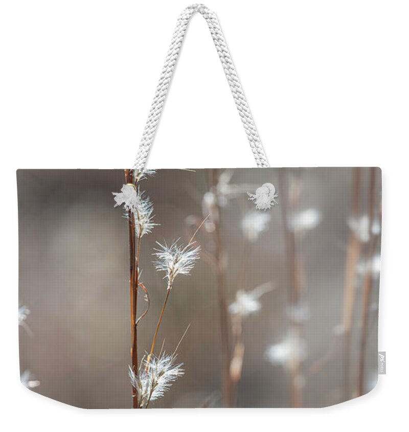 Tall Weekender Tote Bag featuring the photograph Tall Grass With White Seeds by Karen Rispin