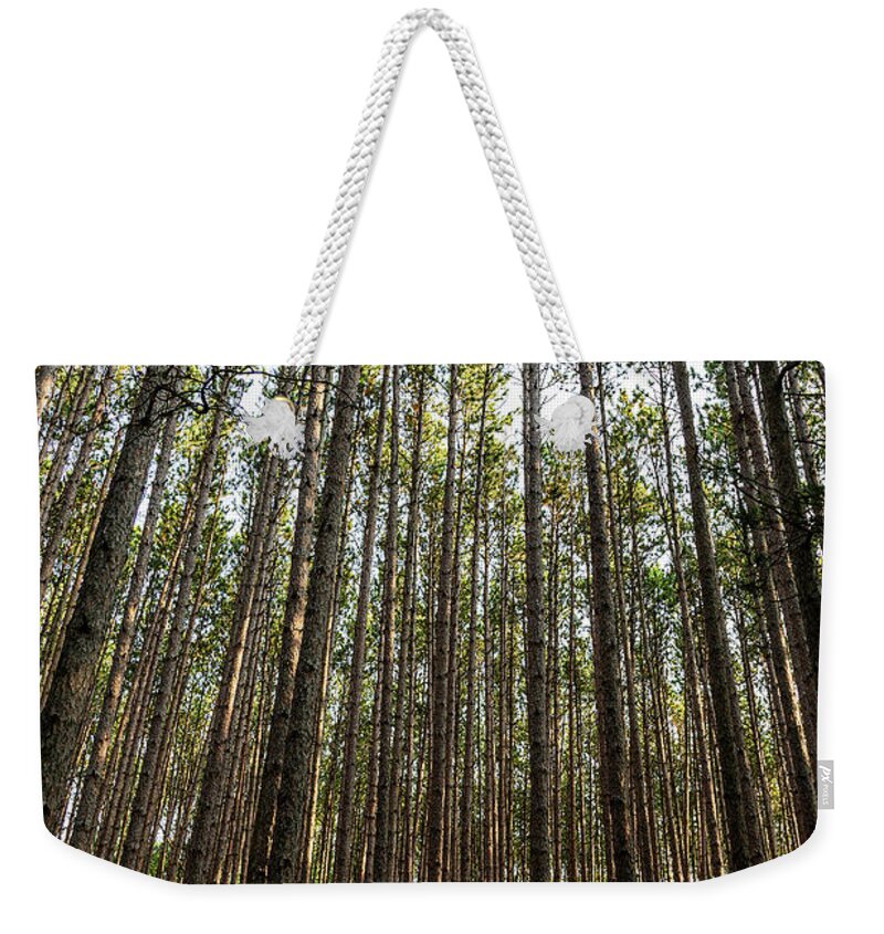 Trees Weekender Tote Bag featuring the photograph Tall Red Pine Forest by Dale Kincaid