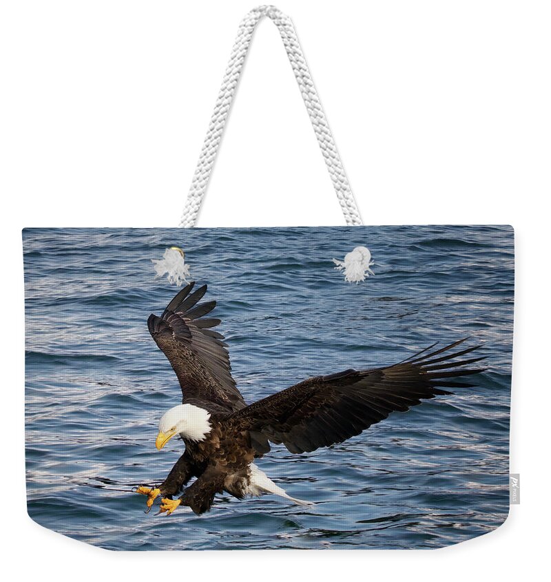 Eagle Weekender Tote Bag featuring the photograph Talon Titan by Kristal Kraft