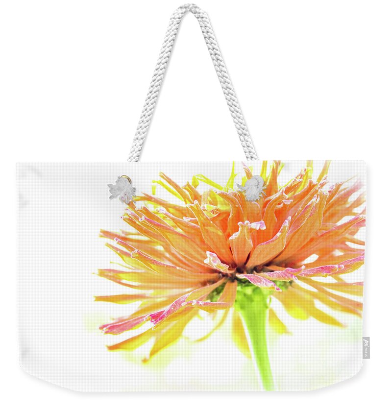 Tangerine Weekender Tote Bag featuring the photograph Tangerine Dream by Becqi Sherman