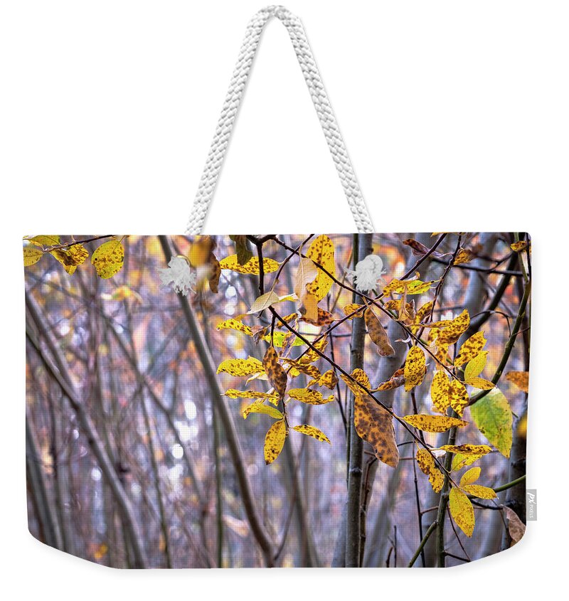 Willow Weekender Tote Bag featuring the photograph Tangled Willow Thicket by Mary Lee Dereske