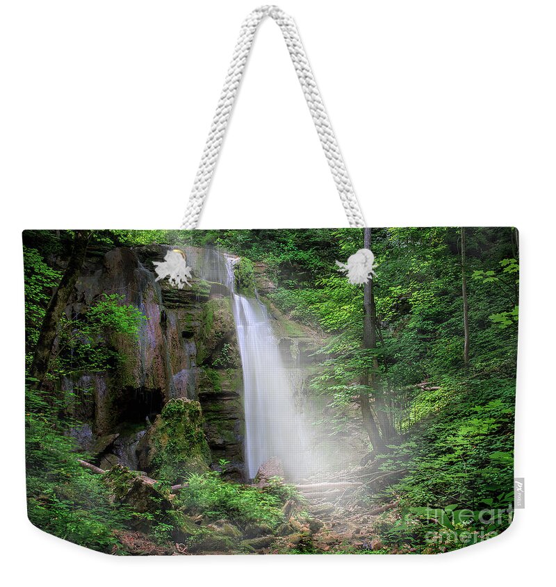 Hollow Weekender Tote Bag featuring the photograph Tank Hollow Falls by Shelia Hunt