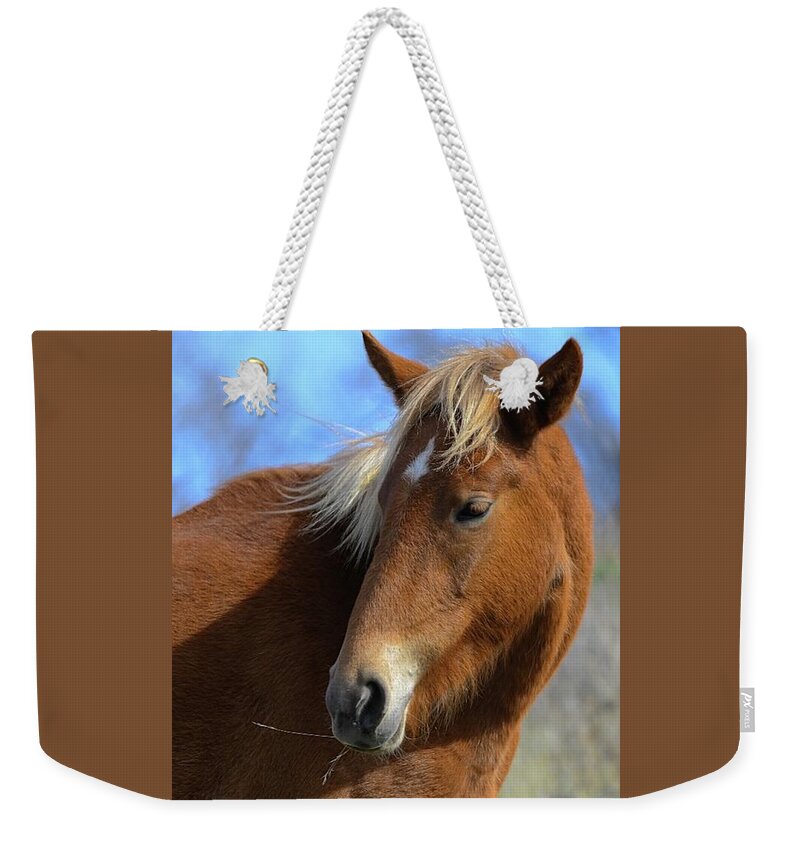 Salt River Wild Horse Weekender Tote Bag featuring the digital art Tasty by Tammy Keyes