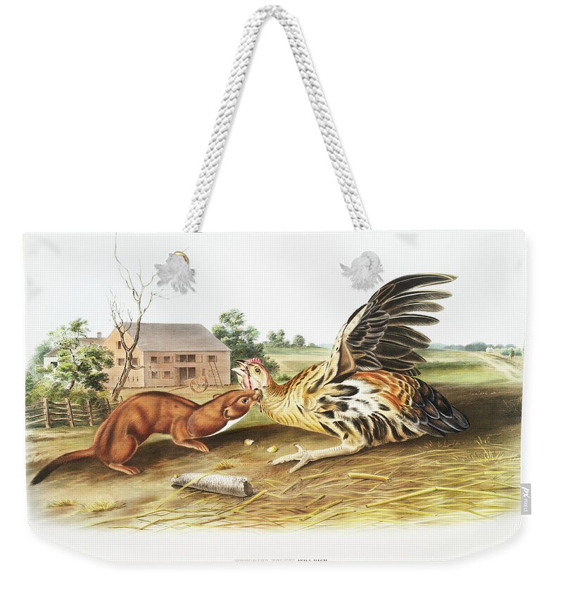 American Weekender Tote Bag featuring the mixed media Tawny Weasel. John Woodhouse Audubon Illustration by World Art Collective