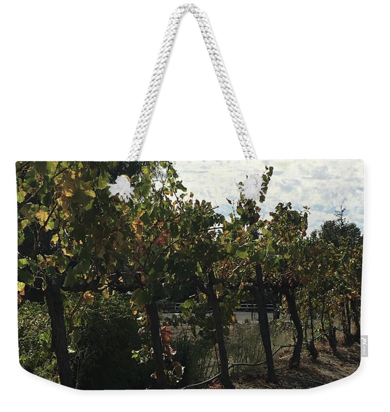 Grapevines Weekender Tote Bag featuring the photograph Temecula Vines by Roxy Rich