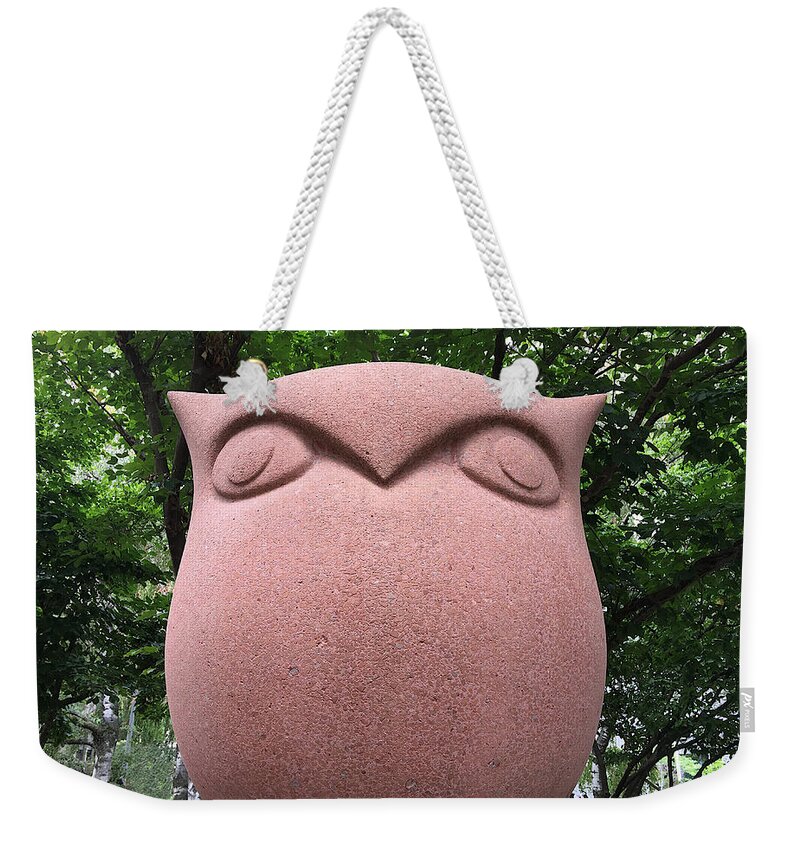 Richard Reeve Weekender Tote Bag featuring the photograph Temple Red Owl by Richard Reeve