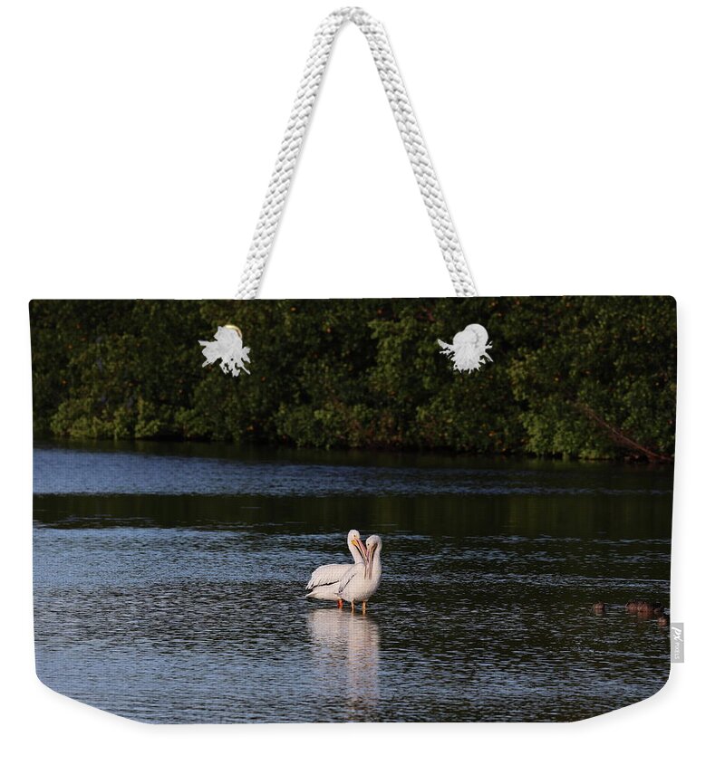 Bird Weekender Tote Bag featuring the photograph Tender Love by Mingming Jiang