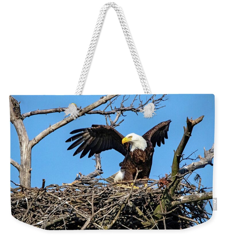 Eagle Weekender Tote Bag featuring the photograph Tending the Nest by Ira Marcus