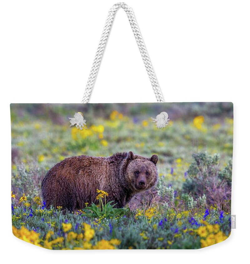  Weekender Tote Bag featuring the photograph Teton Bloom by Kevin Dietrich