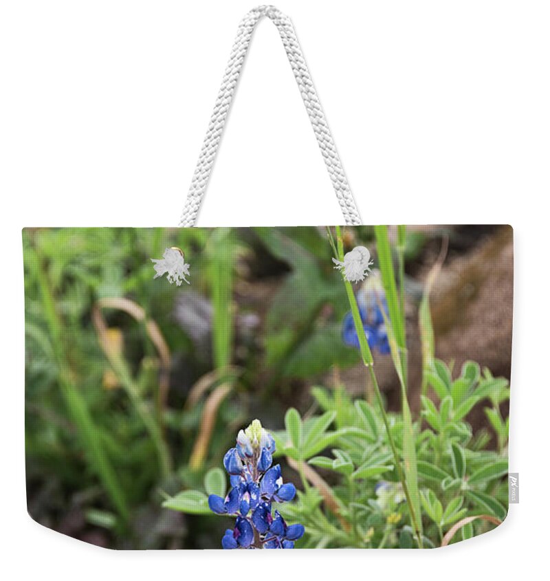 Texas Weekender Tote Bag featuring the photograph Texas Bluebonnets 11 by Andrea Anderegg