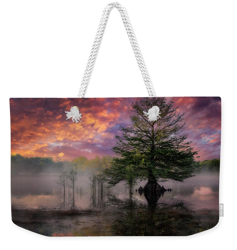 Sunrise Weekender Tote Bag featuring the photograph Texas Foggy Sunrise by Michael Ash