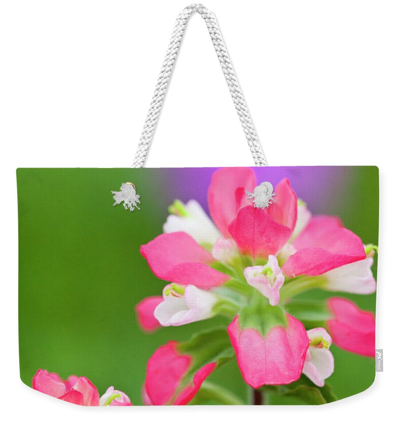 Castilleja Foliolosa Weekender Tote Bag featuring the photograph Texas Paintbrush by Eggers Photography