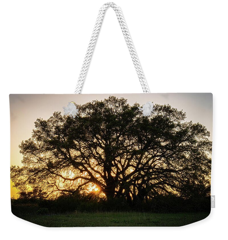 Bosque County Weekender Tote Bag featuring the photograph Texas Ranch Oak at Sunset by Ron Long Ltd Photography