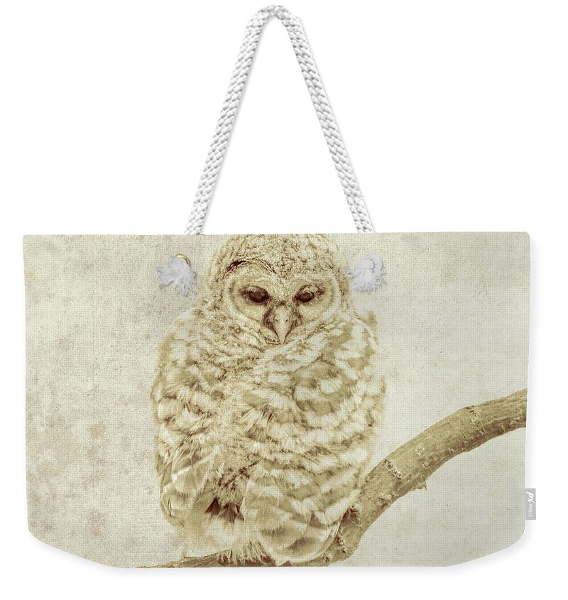 Textured Owl Wildlife Image Weekender Tote Bag featuring the photograph Textured Owl Wildlife Image by Dan Sproul