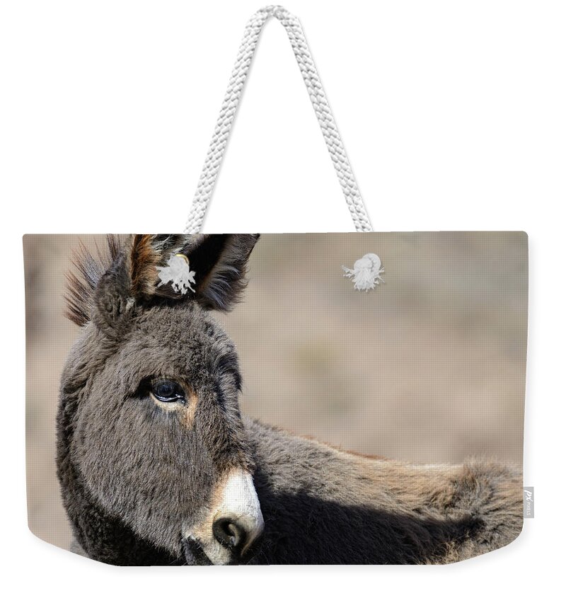 Wild Burros Weekender Tote Bag featuring the photograph That face by Mary Hone