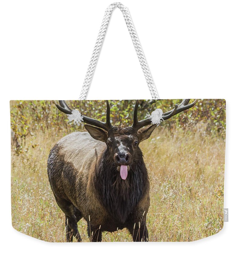 Tongue Weekender Tote Bag featuring the photograph That Moment When by Shane Bechler
