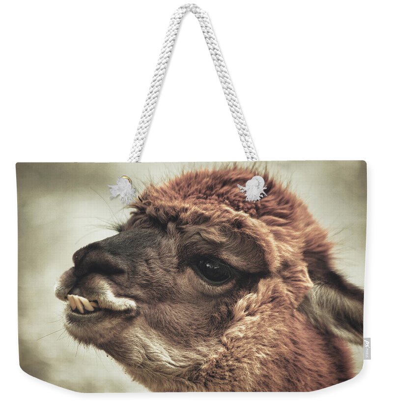 The Alpaca Weekender Tote Bag featuring the photograph The Alpaca by Karol Livote