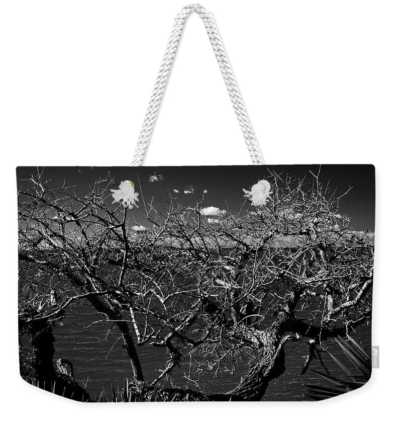 Tree Weekender Tote Bag featuring the photograph The Bare Tree by George Taylor