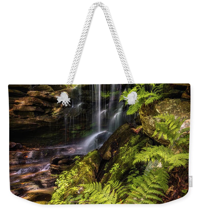 Waterfall Weekender Tote Bag featuring the photograph The Beauty Beyond by SC Shank