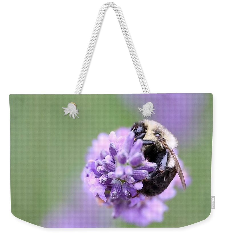 Bee Weekender Tote Bag featuring the photograph The Bee's Knees by Lori Lafargue