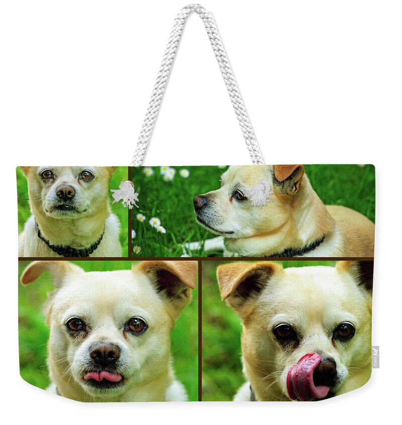 Dog Weekender Tote Bag featuring the photograph The Best of Buster by Tikvah's Hope