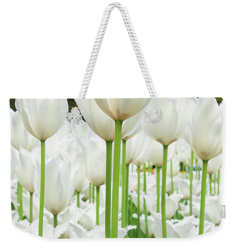 White Weekender Tote Bag featuring the photograph The Best of Spring by Marilyn Cornwell