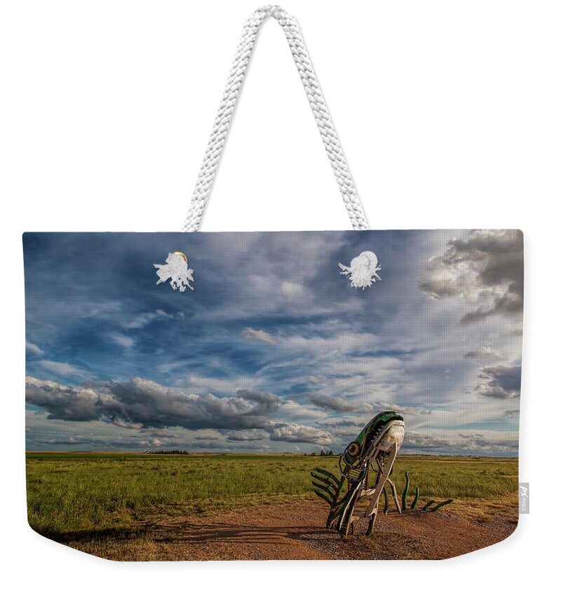 Big Fish Weekender Tote Bag featuring the photograph The Big Fish by Steve Sullivan