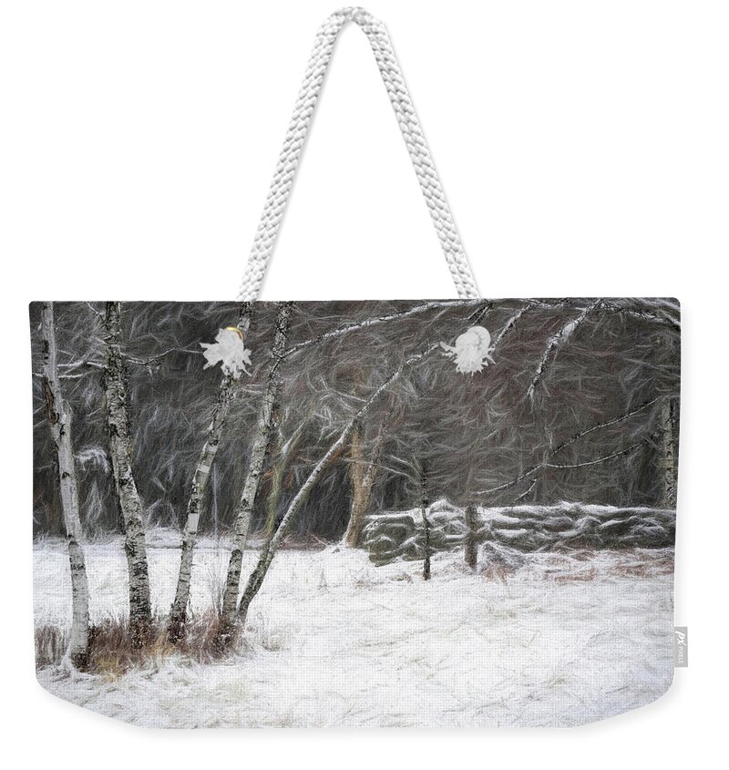 Birch Weekender Tote Bag featuring the photograph The Birches of Orris Road by Wayne King