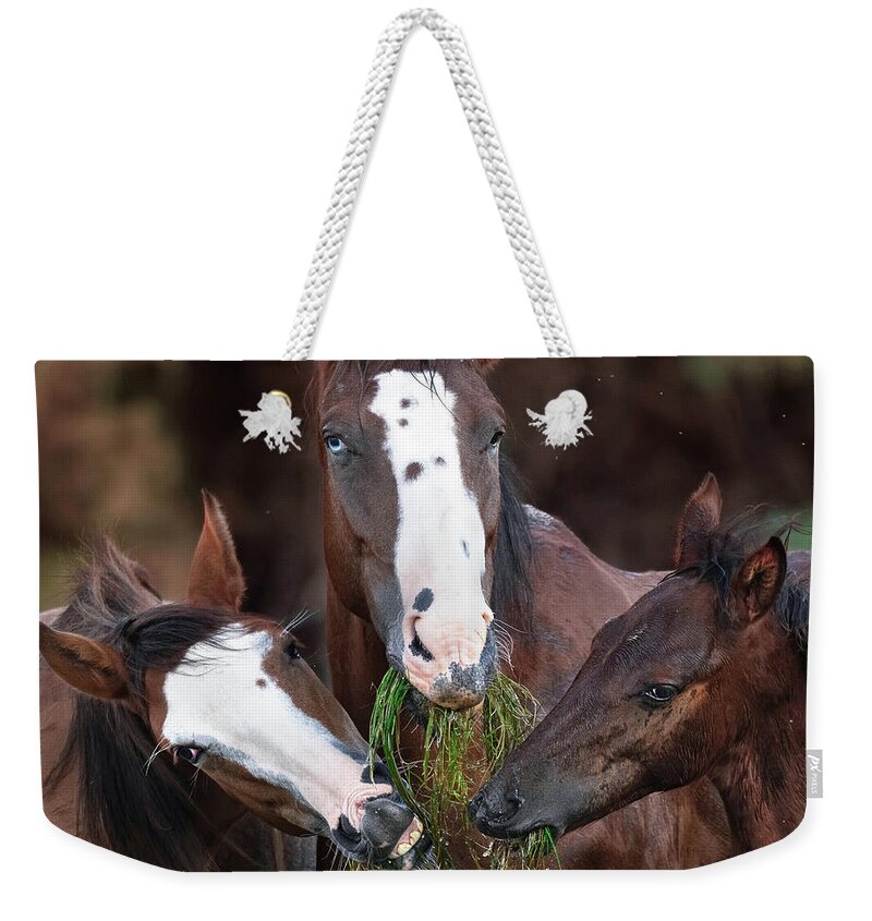 Stallion Weekender Tote Bag featuring the photograph The Blue-Eyed Mare. by Paul Martin