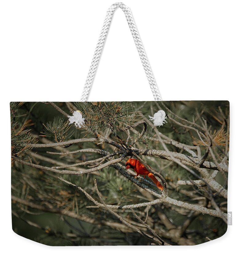 The Cardinal Weekender Tote Bag featuring the photograph The Cardinal 4 by Ernest Echols