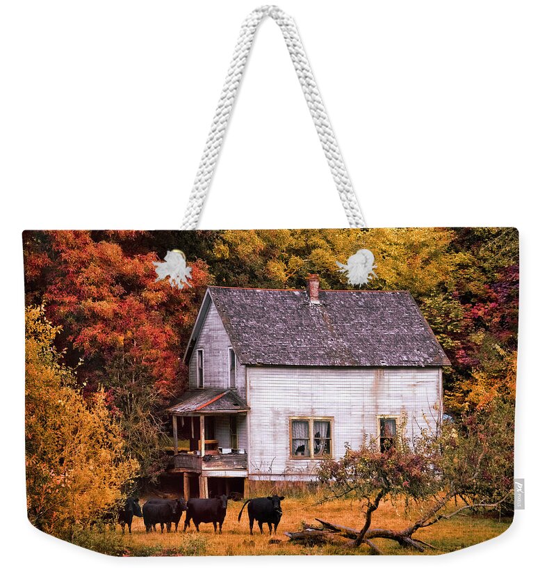 American Weekender Tote Bag featuring the photograph The Cows Came Home in the Fall by Debra and Dave Vanderlaan