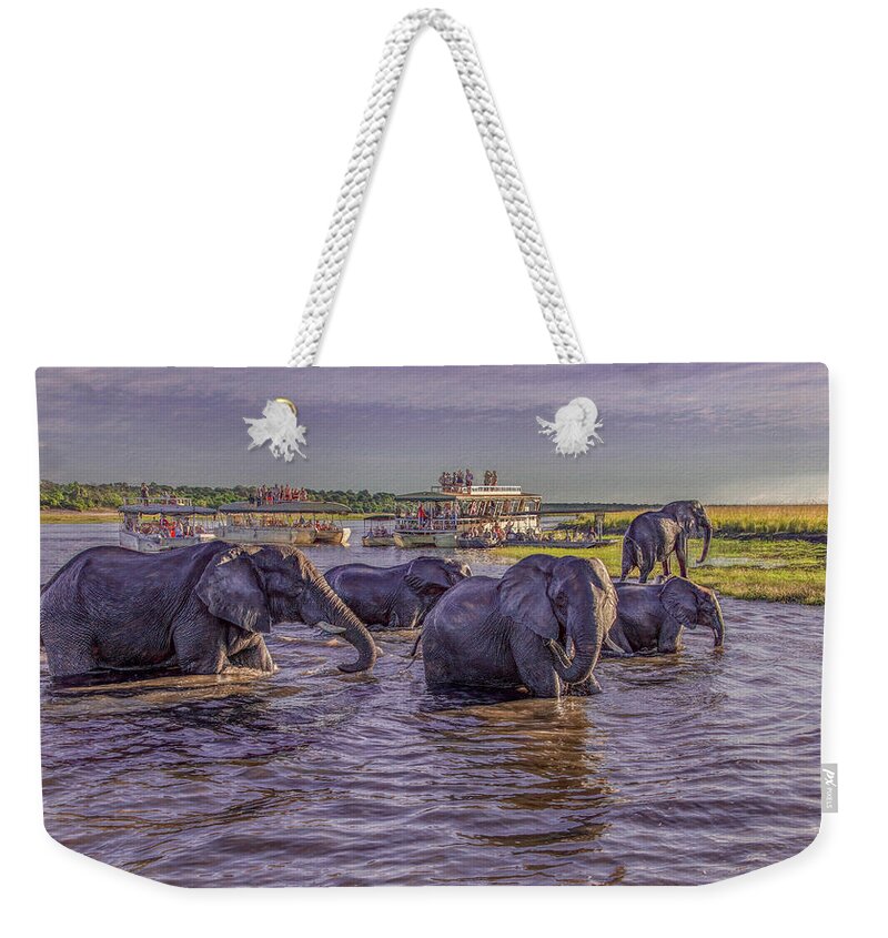 Chobe National Park Weekender Tote Bag featuring the photograph The Crossing by Marcy Wielfaert