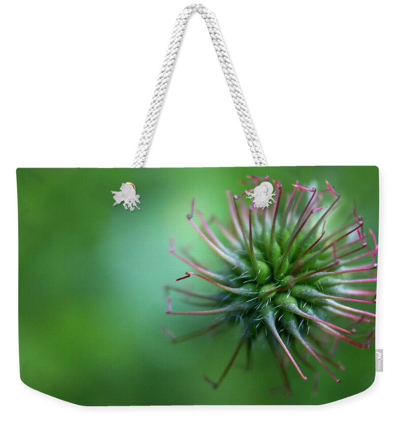 Flower Weekender Tote Bag featuring the photograph The crown flower by MPhotographer