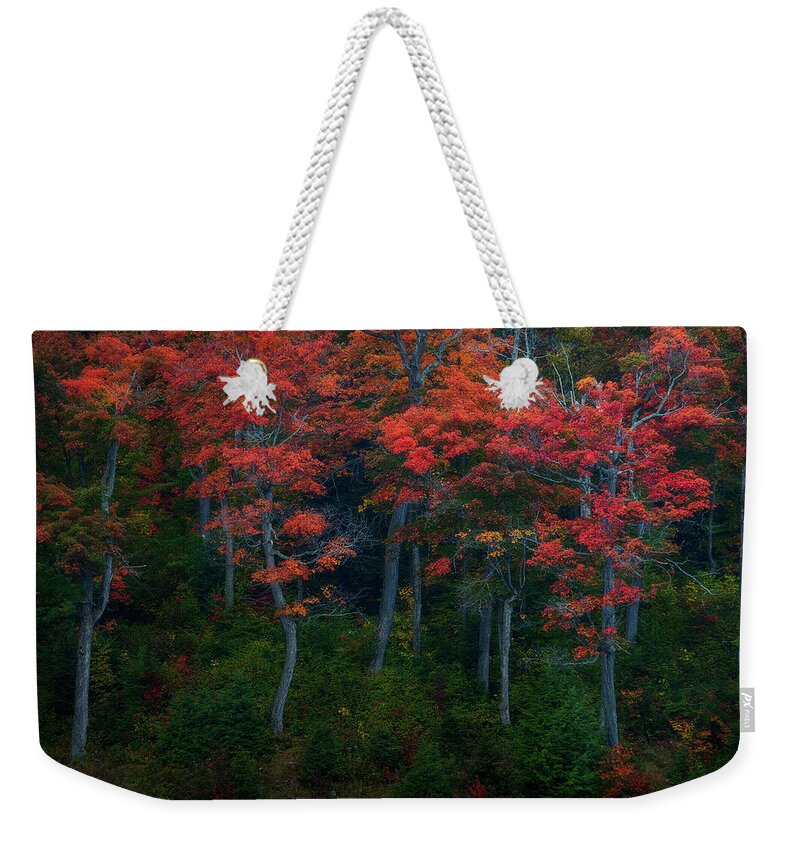Autumn Weekender Tote Bag featuring the photograph The Dancing Trees by Henry w Liu