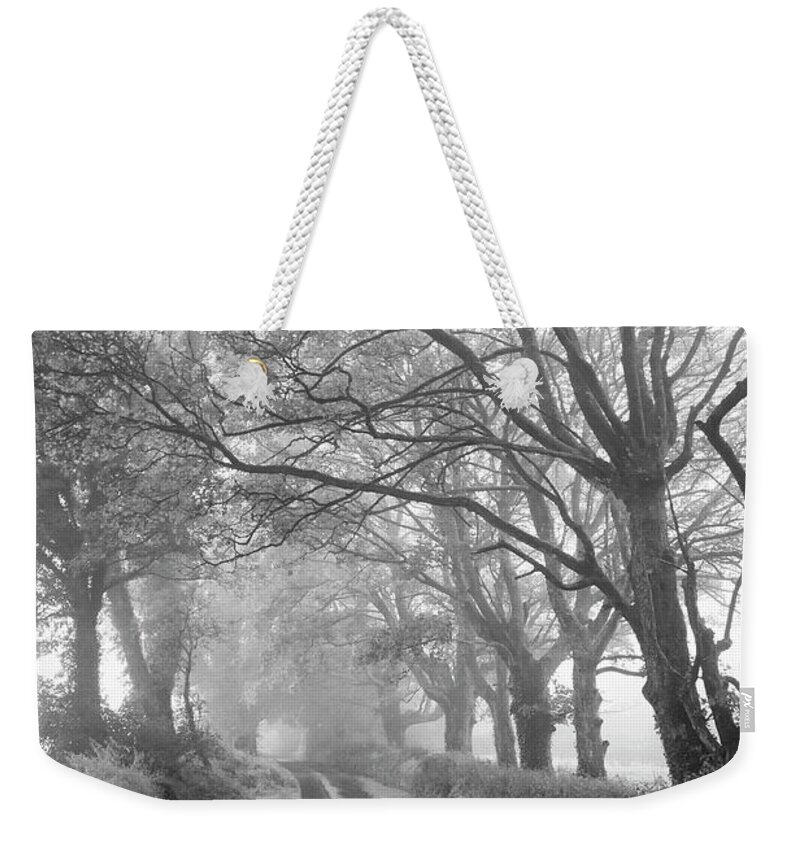 Misty Weekender Tote Bag featuring the photograph The Dark Misty Hedges by Mark Callanan