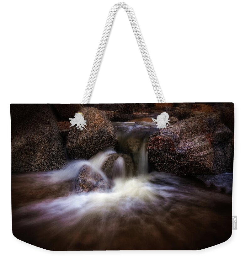 Artistic Weekender Tote Bag featuring the photograph The Desert Drinks by Rick Furmanek