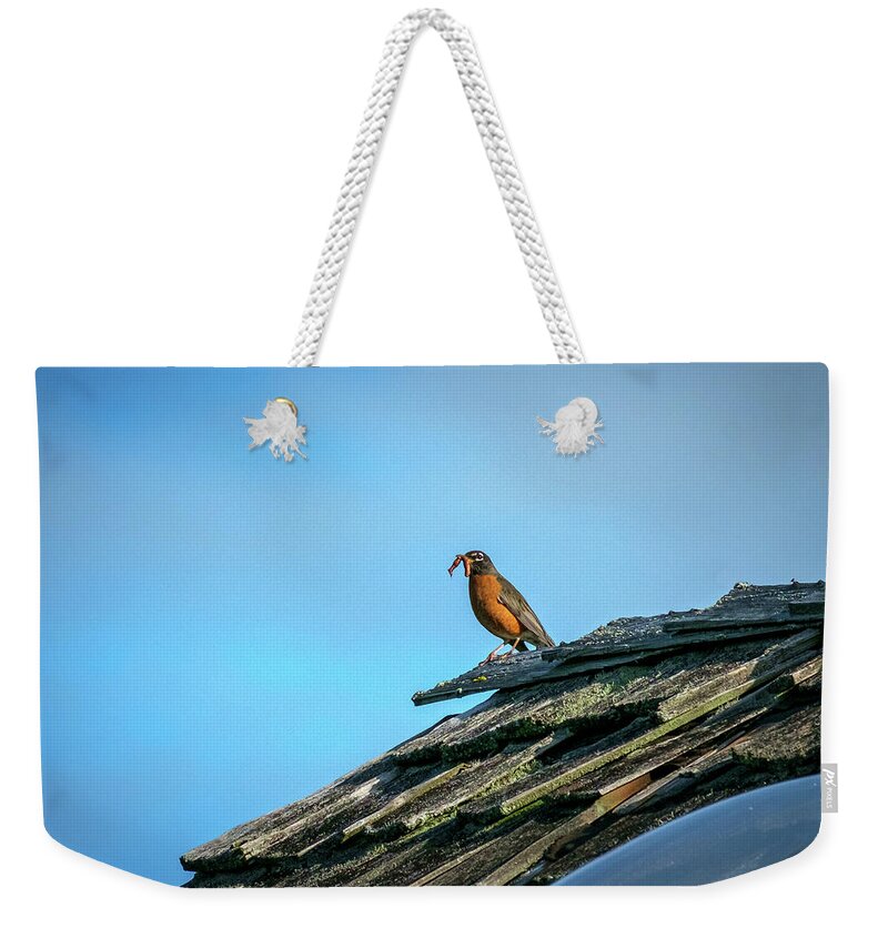 Bird Weekender Tote Bag featuring the photograph The Early Bird Gets the Worm by Mary Lee Dereske