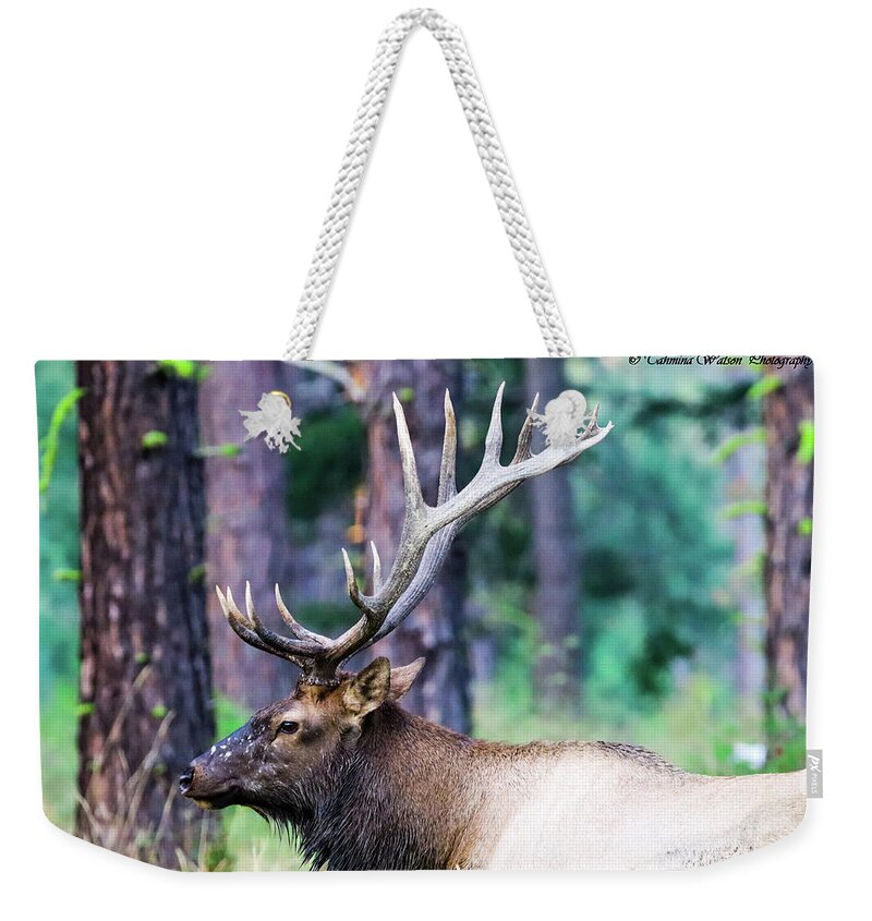 Elk Weekender Tote Bag featuring the photograph The Elk by Tahmina Watson