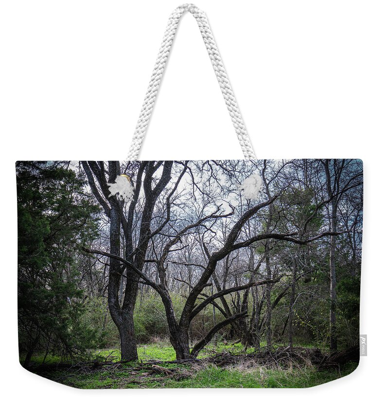 Trees Weekender Tote Bag featuring the photograph The End of the Road by Ron Long Ltd Photography