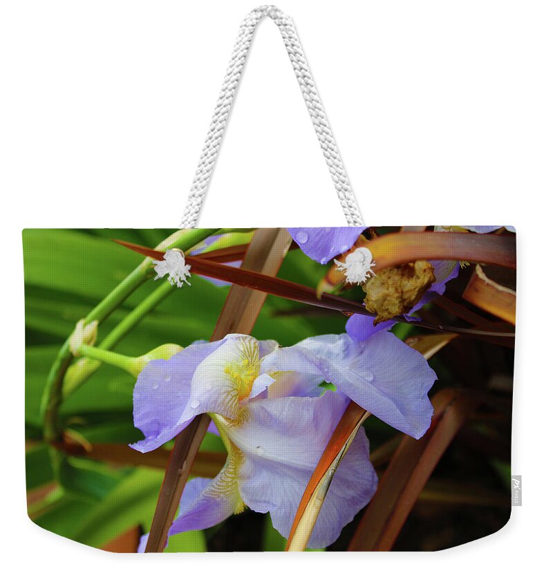 Flowers Weekender Tote Bag featuring the photograph The Eye of the Iris by Marcus Jones
