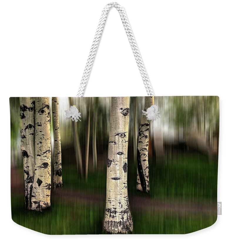 Aspen Weekender Tote Bag featuring the photograph The Eyes of Aspen are Upon Us by Wayne King