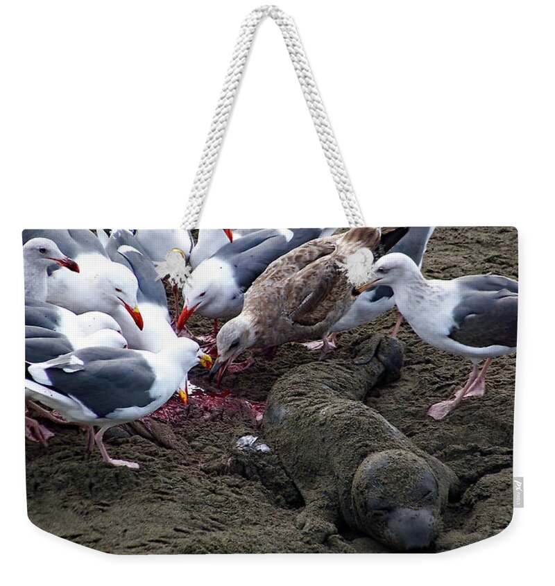 The Feast Weekender Tote Bag featuring the photograph The Feast by Jennifer Robin
