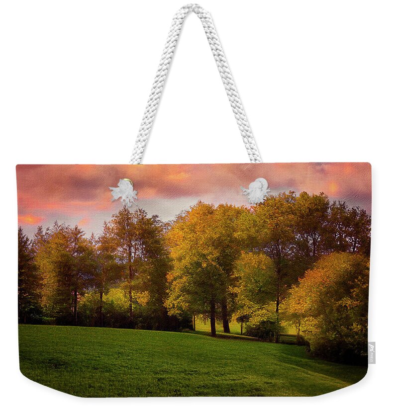 Fine Art Photography Weekender Tote Bag featuring the photograph The Field by Reynaldo Williams