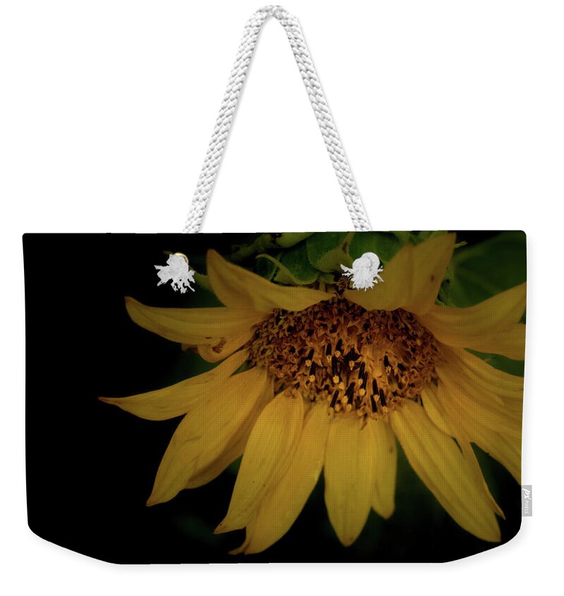 Flower Weekender Tote Bag featuring the photograph The Flashy Wild Sunflower by Laura Putman