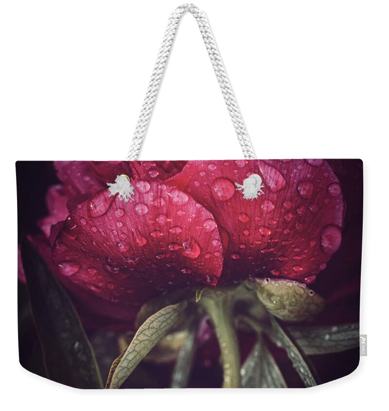 Peony Weekender Tote Bag featuring the photograph The flood is Pink by Philippe Sainte-Laudy