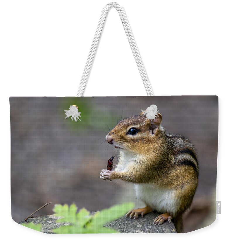 Chipmunk Weekender Tote Bag featuring the photograph The Forest Cuisine by Regina Muscarella