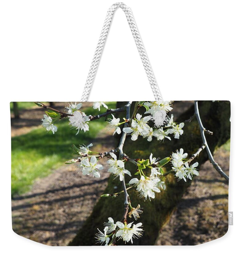 Plums Weekender Tote Bag featuring the photograph The Fragile Nature of Farming by Leslie Struxness