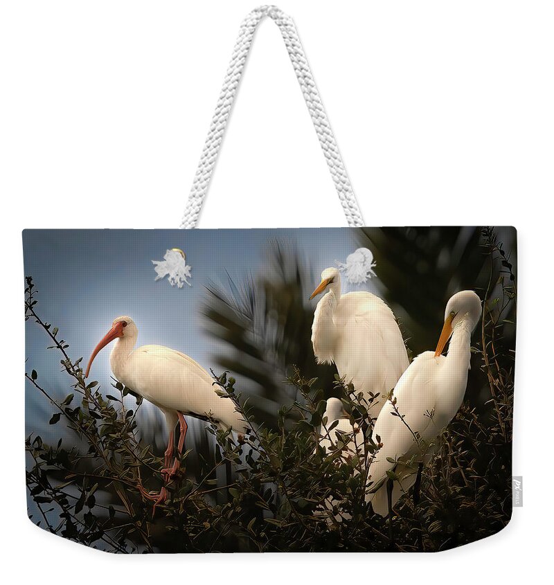 Birds Weekender Tote Bag featuring the photograph The Gathering by Larry Marshall